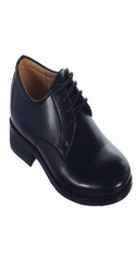 TTS106B  - Click for details