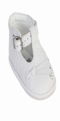 TTS300  - Click for details